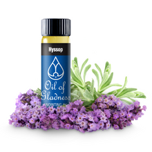 Load image into Gallery viewer, Oil of Gladness Anointing Oil&lt;br&gt; Hyssop
