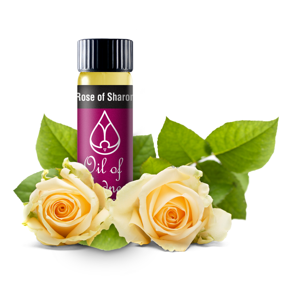 Oil of Gladness Anointing Oil<br> Rose of Sharon