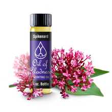 Load image into Gallery viewer, Oil of Gladness Anointing Oil&lt;br&gt; Spikenard
