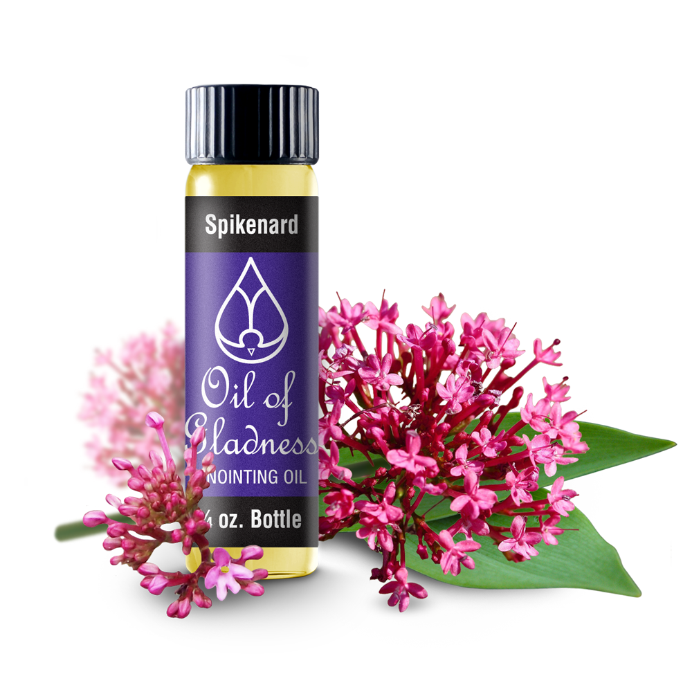 Oil of Gladness Anointing Oil<br> Spikenard